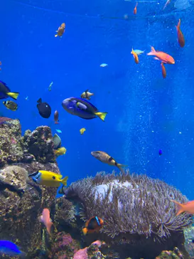 仙台うみの杜水族館に投稿された画像（2022/10/23）