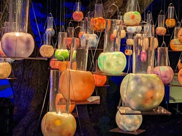 江の島シーキャンドルに投稿された画像（2022/10/23）