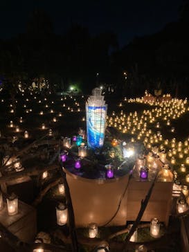 江の島シーキャンドルに投稿された画像（2022/10/23）