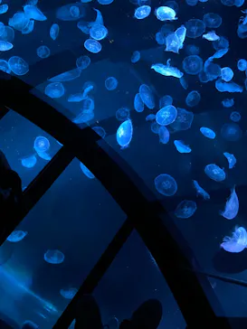 すみだ水族館に投稿された画像（2022/10/23）