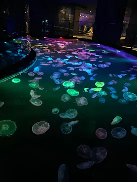 すみだ水族館に投稿された画像（2022/10/23）