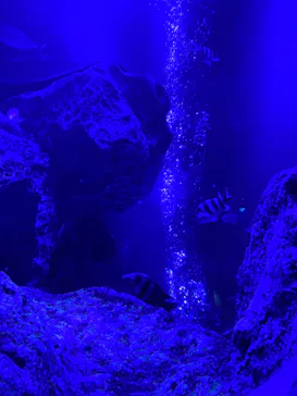 すみだ水族館に投稿された画像（2022/10/23）