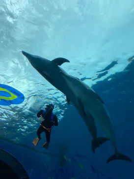 横浜・八景島シーパラダイスに投稿された画像（2022/10/23）