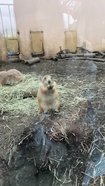 横浜・八景島シーパラダイスに投稿された画像（2022/10/23）