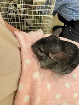 Moff animal cafe イオンモール幕張新都心店に投稿された画像（2022/10/23）