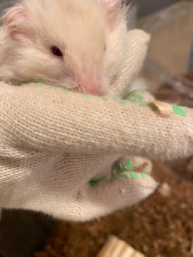 Moff animal cafe イオンモール幕張新都心店に投稿された画像（2022/10/23）