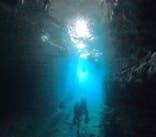 DIVING-SHOP SUNSに投稿された画像（2022/10/23）