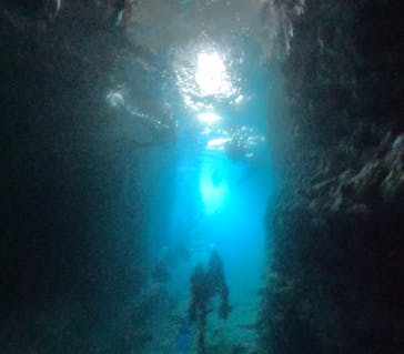 DIVING-SHOP SUNSに投稿された画像（2022/10/23）