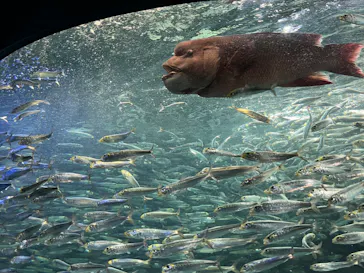 サンシャイン水族館に投稿された画像（2022/10/23）