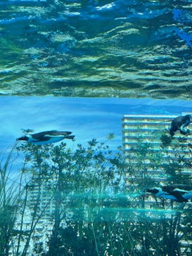 サンシャイン水族館に投稿された画像（2022/10/23）