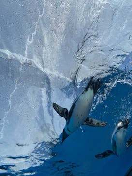 サンシャイン水族館に投稿された画像（2022/10/23）