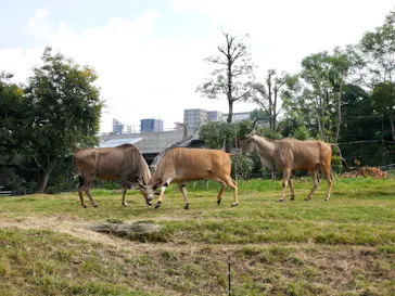 天王寺動物園に投稿された画像（2022/10/23）