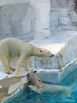天王寺動物園に投稿された画像（2022/10/23）