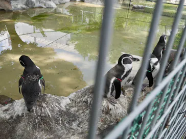天王寺動物園に投稿された画像（2022/10/23）