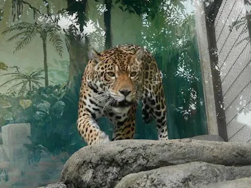 天王寺動物園に投稿された画像（2022/10/23）