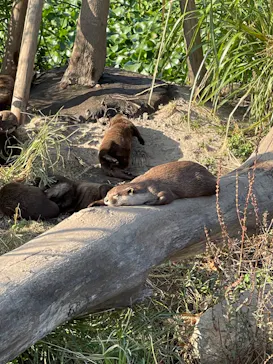 神戸どうぶつ王国に投稿された画像（2022/10/23）