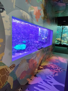 串本海中公園水族館に投稿された画像（2022/10/23）