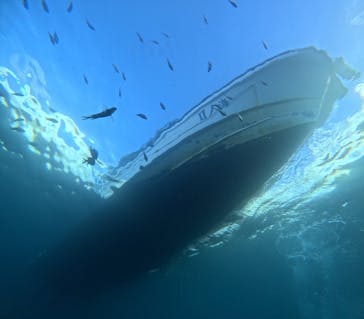 青の洞窟専門店　沖縄ダイビングショップ和に投稿された画像（2022/10/23）