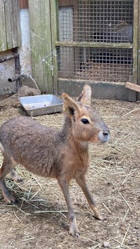 伊豆シャボテン動物公園に投稿された画像（2022/10/23）