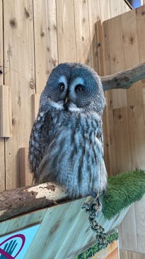 伊豆シャボテン動物公園に投稿された画像（2022/10/23）