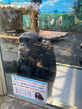 伊豆シャボテン動物公園に投稿された画像（2022/10/23）