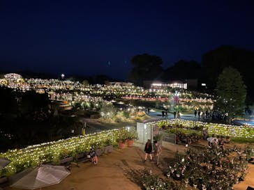 いばらきフラワーパークに投稿された画像（2022/10/24）