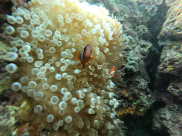 武藤潜水に投稿された画像（2022/10/24）