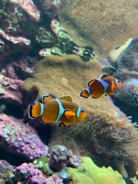 サンシャイン水族館に投稿された画像（2022/10/24）