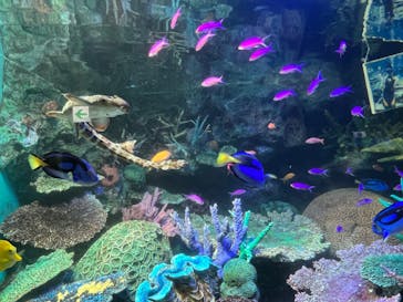 サンシャイン水族館に投稿された画像（2022/10/24）