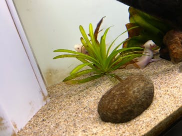 サンシャイン水族館に投稿された画像（2022/10/24）