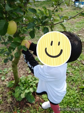 果実の里 原田農園に投稿された画像（2022/10/24）