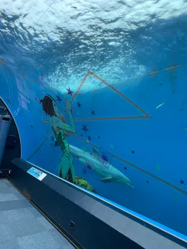 横浜・八景島シーパラダイスに投稿された画像（2022/10/24）