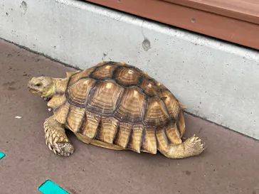 横浜・八景島シーパラダイスに投稿された画像（2022/10/24）