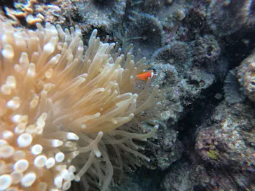 武藤潜水に投稿された画像（2022/10/24）