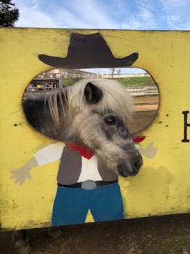 成田ゆめ牧場に投稿された画像（2022/10/24）