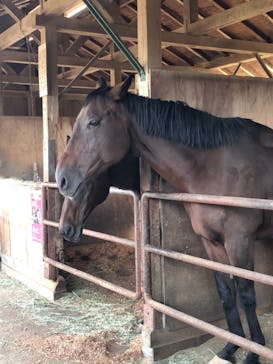 成田ゆめ牧場に投稿された画像（2022/10/24）