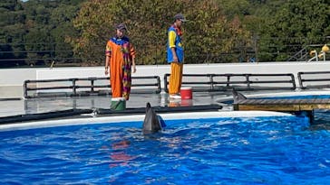 九十九島水族館海きららに投稿された画像（2022/10/24）