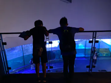 横浜・八景島シーパラダイスに投稿された画像（2022/10/24）