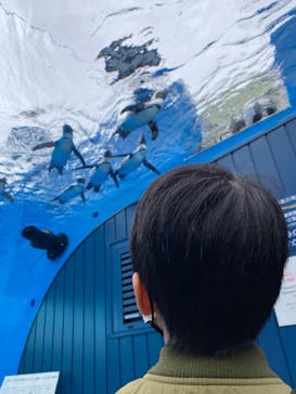 サンシャイン水族館に投稿された画像（2022/10/24）