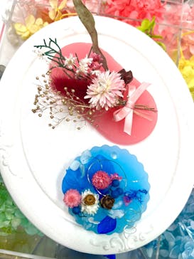 ずこうしつ〜sugamo〜に投稿された画像（2022/10/24）