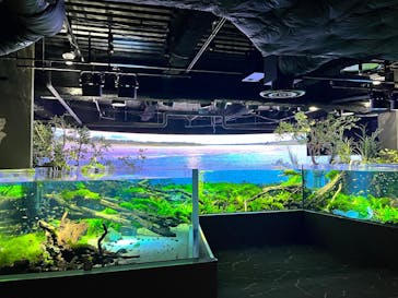 カワスイ 川崎⽔族館に投稿された画像（2022/10/24）