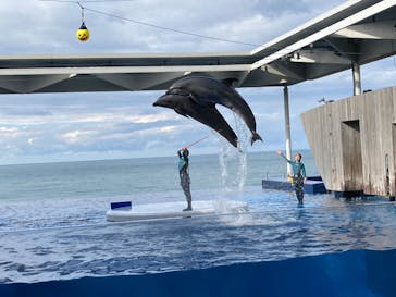 上越市立水族博物館 うみがたりに投稿された画像（2022/10/24）