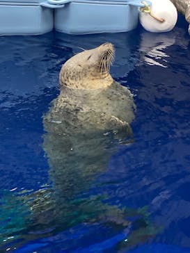 上越市立水族博物館 うみがたりに投稿された画像（2022/10/24）