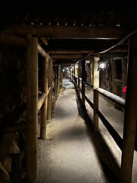 土肥金山に投稿された画像（2022/10/24）