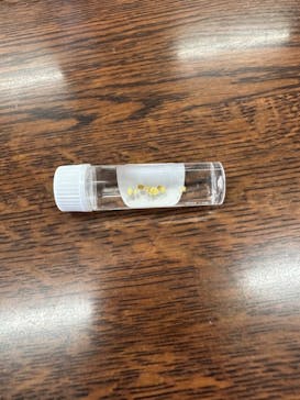 土肥金山に投稿された画像（2022/10/24）