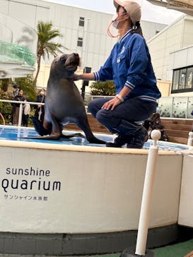 サンシャイン水族館に投稿された画像（2022/10/24）