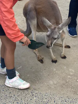 神戸どうぶつ王国に投稿された画像（2022/10/24）