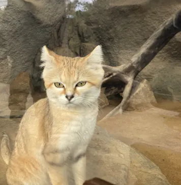 神戸どうぶつ王国に投稿された画像（2022/10/24）