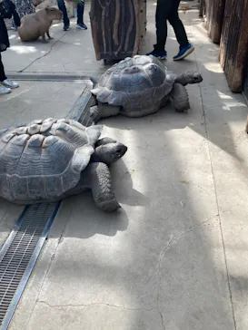 神戸どうぶつ王国に投稿された画像（2022/10/24）