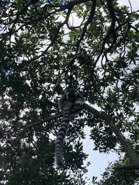 神戸どうぶつ王国に投稿された画像（2022/10/24）